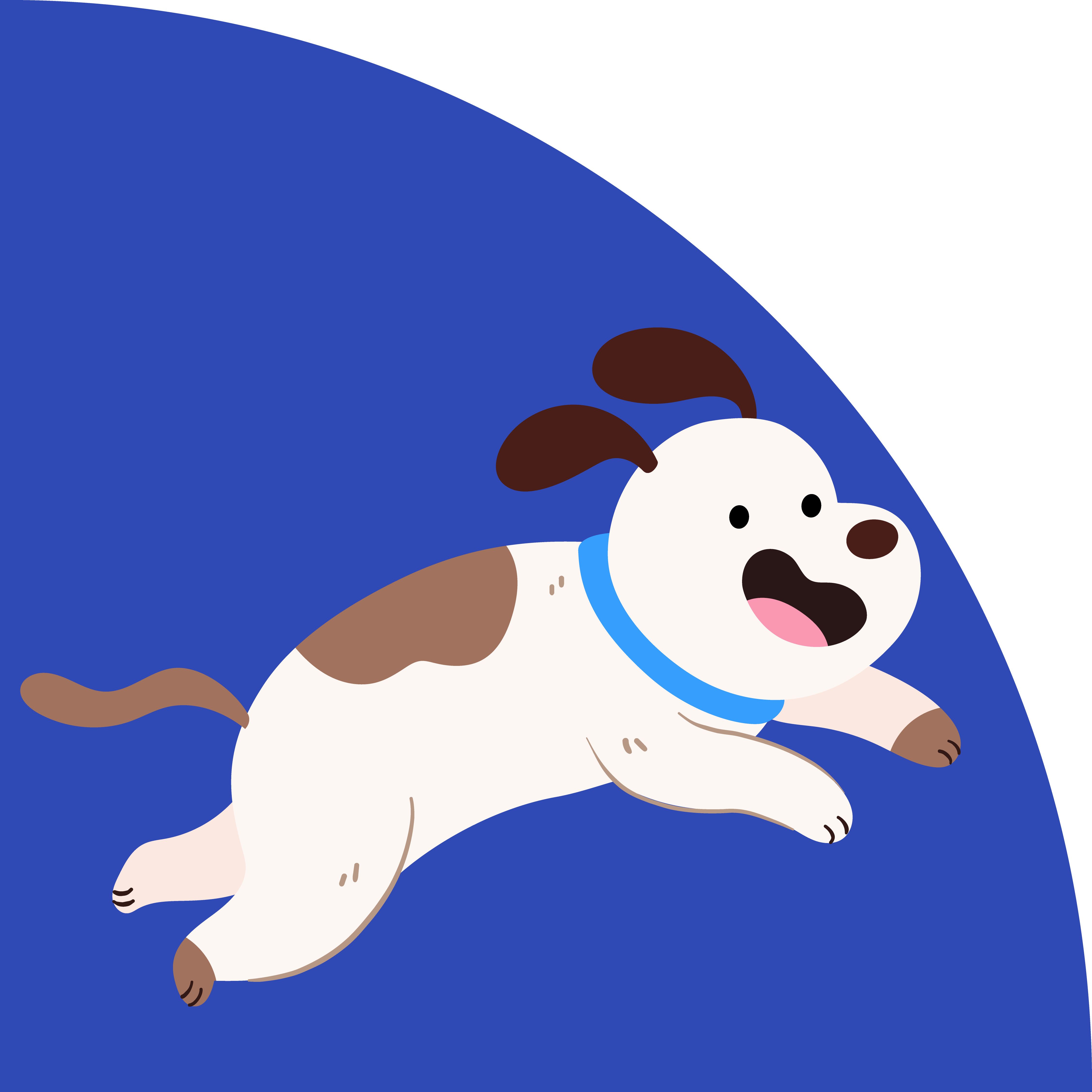 frsgtrht_Mesa de trabajo 1 copia